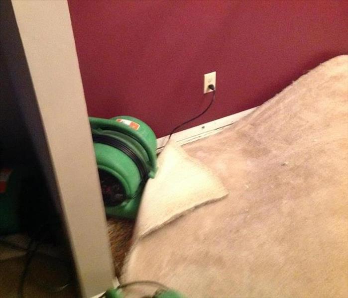 This picture shows the carpet in a hallway lifted up with a fan blowing air under to dry it. 