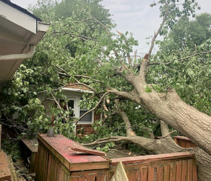 This picture shows a large tree blown onto a house after a storm. 